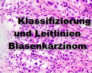 04 - Klassifizierung und Leitlinien Blasenkarzinom